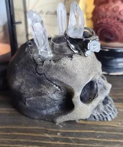 Curio Resins Realistic Skull Ring Holder [BONE] -vampirefreaks shop Goth SKull Jewelry Display 1000x
