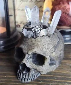 Curio Resins Realistic Skull Ring Holder [BONE] -vampirefreaks shop Human Skull Jewelry 1000x