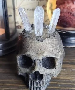 Curio Resins Realistic Skull Ring Holder [BONE]