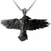 Alchemy Black Raven Necklace