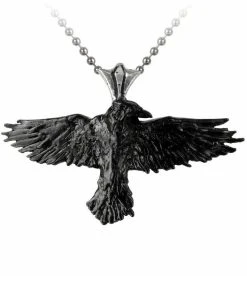 Alchemy Black Raven Necklace
