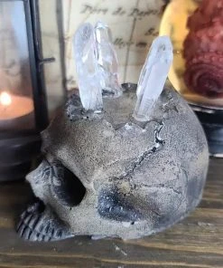 Curio Resins Realistic Skull Ring Holder [BONE] -vampirefreaks shop SKull Ring Display 1000x