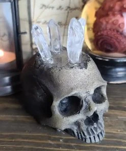 Curio Resins Realistic Skull Ring Holder [BONE] -vampirefreaks shop Steampunk Jewlery Display 1000x