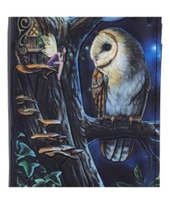 Nemesis Now Fairy Tales Embossed Wallet -vampirefreaks shop b4864p9 5 1 1000x