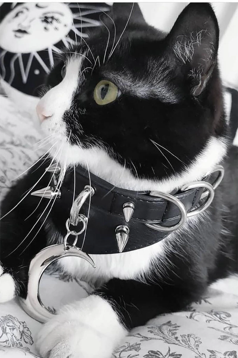 Restyle Moon Ritual Spiked Choker - Image 5